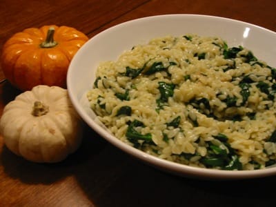 Vegetarian orzo recipes