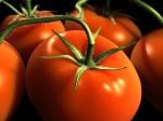 Permanent Link to 0 Point Cumin Tomato Salad Recipe - A Tasty Summer Salad