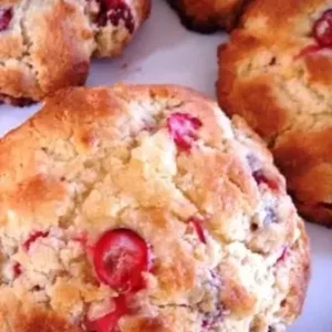 low fat cranberry scones