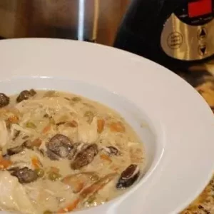 creamy mushroom chicken stew