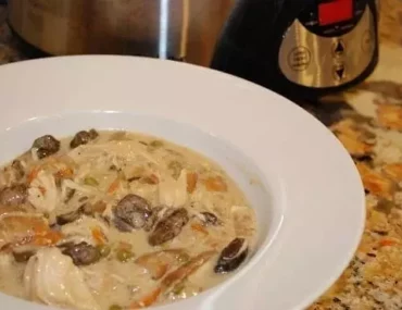 creamy mushroom chicken stew