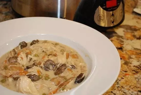 creamy mushroom chicken stew