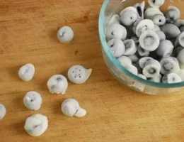 frozen yogurt covered blueberries