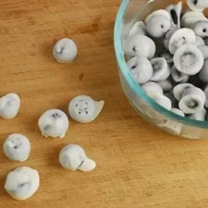 frozen yogurt covered blueberries