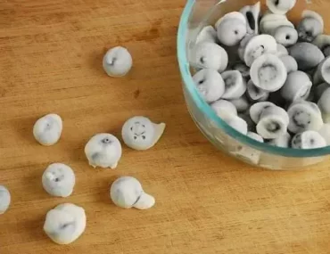 frozen yogurt covered blueberries