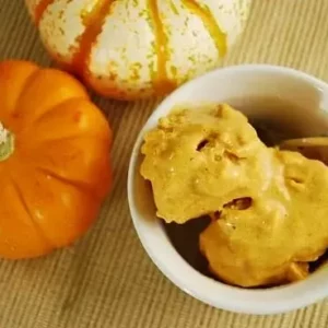 pumpkin frozen yogurt