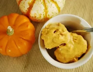 pumpkin frozen yogurt