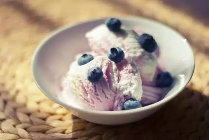 Blueberry Frozen Yogurt 675x452 1