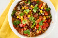 Crock Pot Chicken Taco Chili