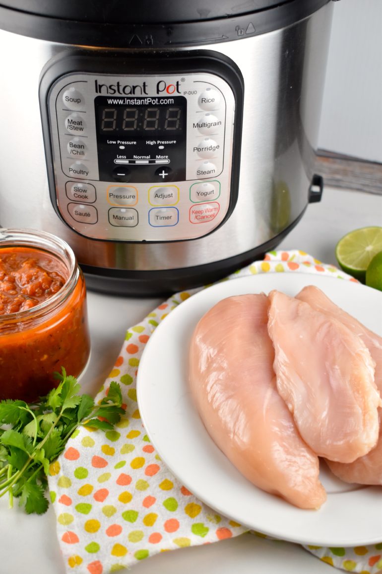 Crock Pot Salsa Chicken 